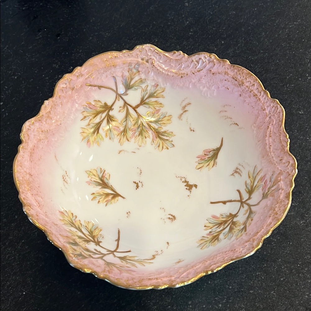 Limoges France Porcelain Serving Bowl LS&S